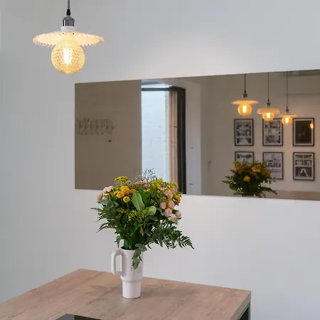 Apartman Les Camuches De La Banque - Privatifs De 35 A 110 M2 Avec Patios - Centre