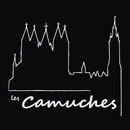 Les Camuches De La Banque - Privatifs De 35 A 110 M2 Avec Patios - Centre Tournai